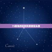 75属兔的旺财风景微信头像，属兔75年兔的运程