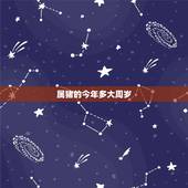 属猪的今年多大周岁，属马的人今年多少岁