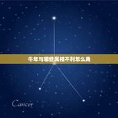 牛年与哪些属相不利怎么角，今年牛年运势怎么样？和什么生肖犯冲！怎样解决
