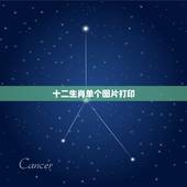 十二生肖单个图片打印，十二生肖图片打印稿