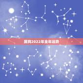 属狗2022年全年运势，属狗2022 年12月运势