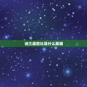 说三道四比是什么属相，说三道四是那个生肖