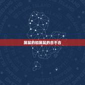属鼠的和属鼠的合不合，属鼠的与什么属相的人相冲