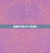 属猴双子座2022年运势，1980属猴双子座今年财运