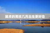属虎的男孩几月出生更好命，属虎几月出生属大富大贵