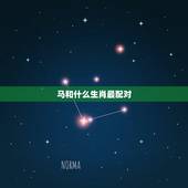 马和什么生肖最配对，生肖羊和什么生肖最配