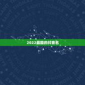 2022最酷的抖音名，2021抖音最火网名