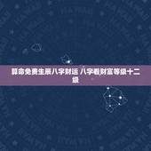 算命免费生辰八字财运 八字看财富等级十二级