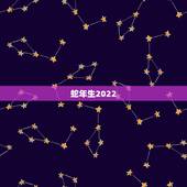 蛇年生2022 年财运如何，蛇年运程2022 生肖年运程