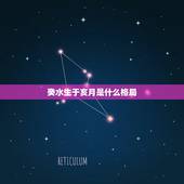 癸水生于亥月是什么格局，丁卯辛亥癸未丙辰