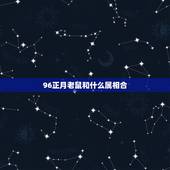 96正月老鼠和什么属相合，96鼠跟什么属相冲