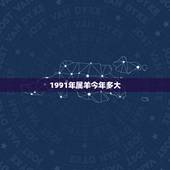 1991年属羊今年多大，1991年属羊的更佳配偶