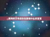 属狗的父母适合生属相什么的宝宝，父母属蛇，孩子属狗，二胎生属什么的最好