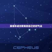 属相羊成功聚集到自己的好气运，为什么说属相羊不好