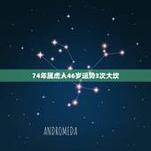 74年属虎人46岁运势3次大坎，74年属虎46岁以后的一生命运？