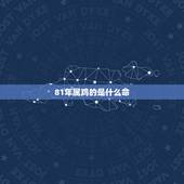 81年属鸡的是什么命，1981年属鸡是什么命