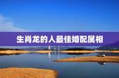 生肖龙的人最佳婚配属相，88年属龙的和什么属相的比较配啊？