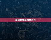 属鼠和兔属相合不合，属鼠和羊相配婚姻如何