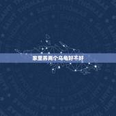 家里养两个乌龟好不好，家里养乌龟好吗