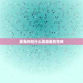 属兔的和什么属相最有性格，属兔和什么属相比较相配