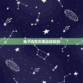 兔子边吃东西边咕咕叫，兔子转圈圈咕咕叫