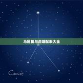 马属相与虎婚配表大全，属虎的和属马的配吗？女属虎和男属马配吗？