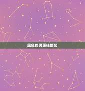 属兔的男更佳婚配，属兔男和什么属相最配对