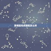 属相鼠和虎婚配怎么样，十二生肖中鼠和虎配对的婚姻是怎么样，好不好