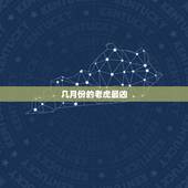 几月份的老虎最凶，老虎出生在哪个时辰最凶