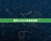 属羊人2022年全年运势，67年属羊人在2021年的全年运势？