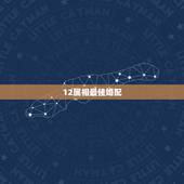 12属相最佳婚配，属蛇和什么属相最配 属蛇的最佳配偶