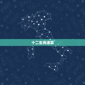 十二生肖速算  ，怎样用十二生肖来算人的年龄