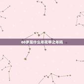 60岁是什么年花甲之年吗，为什么花甲指人60岁