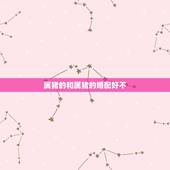 属猪的和属猪的婚配好不，属猪的与什么相配最好