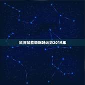 鼠与鼠能婚配吗运势2019年，我属鼠今年运势如何
