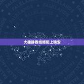 大雄静香结婚配上晚安，哆啦梦大雄和静香结婚是那部电影
