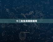十二生生肖哪些相克，十二生肖相生相克