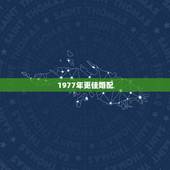 1977年更佳婚配，属蛇1977更佳婚配属相
