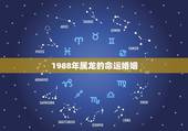 1988年属龙的命运婚姻，1988年属龙的婚姻 命运