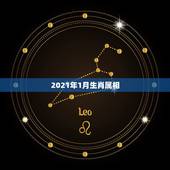 2021年1月生肖属相，2021年1月1日出生的宝宝属相