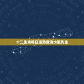 十二生肖每日运势查询水墨先生，查询十二生肖运势