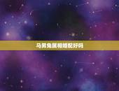 马男兔属相婚配好吗，属马和属兔的相配吗