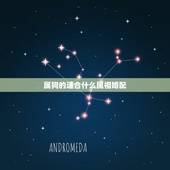 属狗的适合什么属相婚配，属狗婚配和什么属相合适