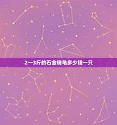 2一3斤的石金钱龟多少钱一只，3斤的野生石金钱龟多少钱一只？