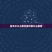 金木水火土属性龙代表什么属相，生肖龙五行属什么，属龙的五行