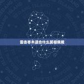 雷击枣木适合什么属相佩戴，请教风水大师杨晤一个问题，五帝钱和雷击枣木在