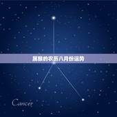 属猴的农历八月份运势，属猴的阴历八月一号运势好不好