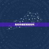 兔和鸡相配婚姻如何，鸡跟兔婚姻相配吗