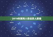 2019年属狗人命运贵人属相，属狗2019年运势及运程 属狗人2019