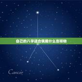 自己的八字适合佩戴什么吉祥物，生辰八字佩戴吉祥物查询